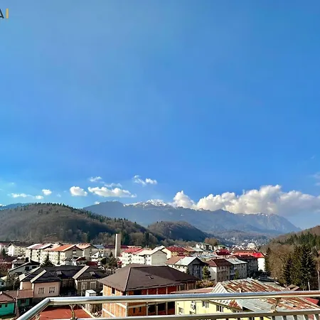 Sinai Aph 公寓式酒店