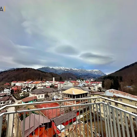 Sinai Aph Sinaia