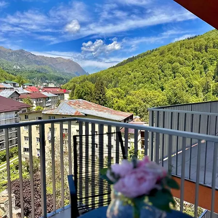 Sinai Aph * Sinaia